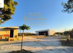 Photo 360521028