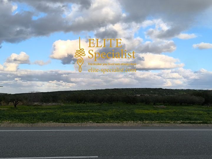 Photo 360538509