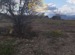 Photo 360539031