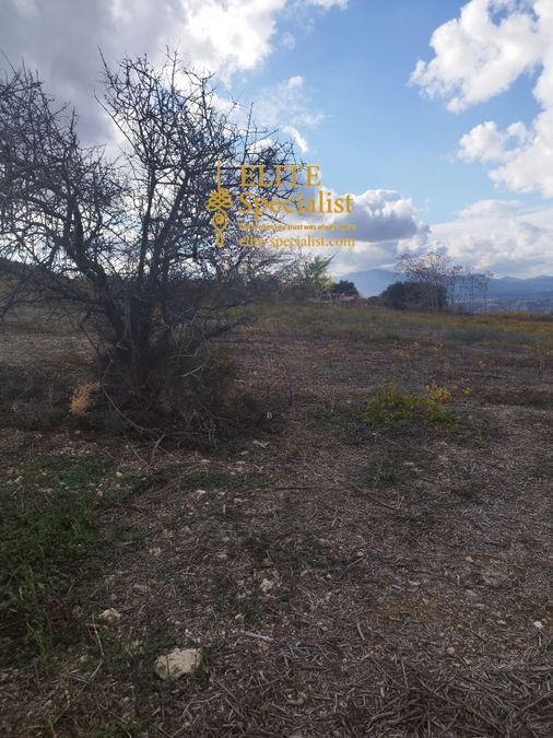 Photo 360539031
