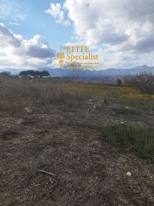 Photo 360539034