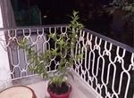 Photo 360586113