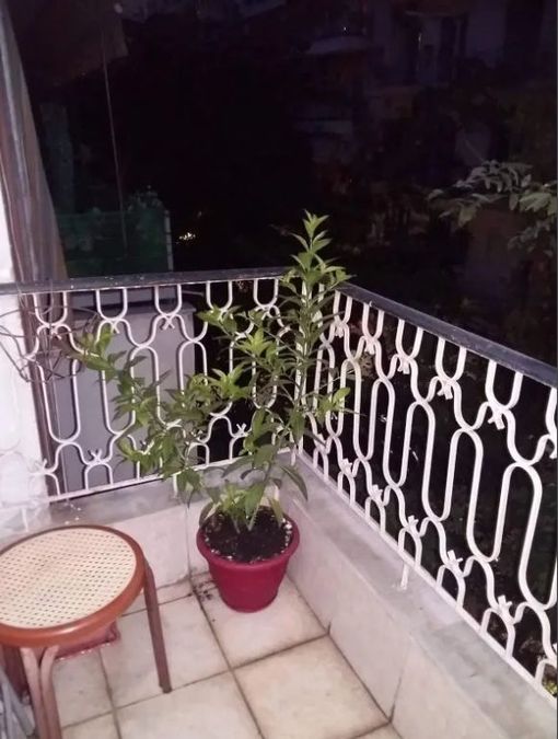 Photo 360586113