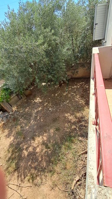 Photo 360967092