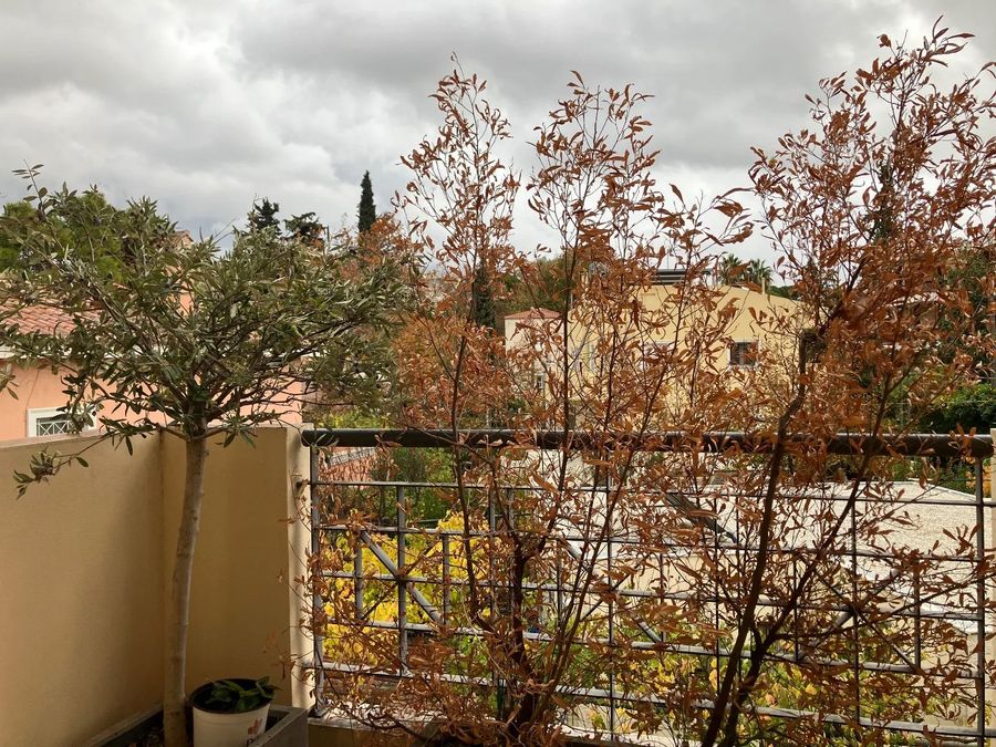 Photo 361205712