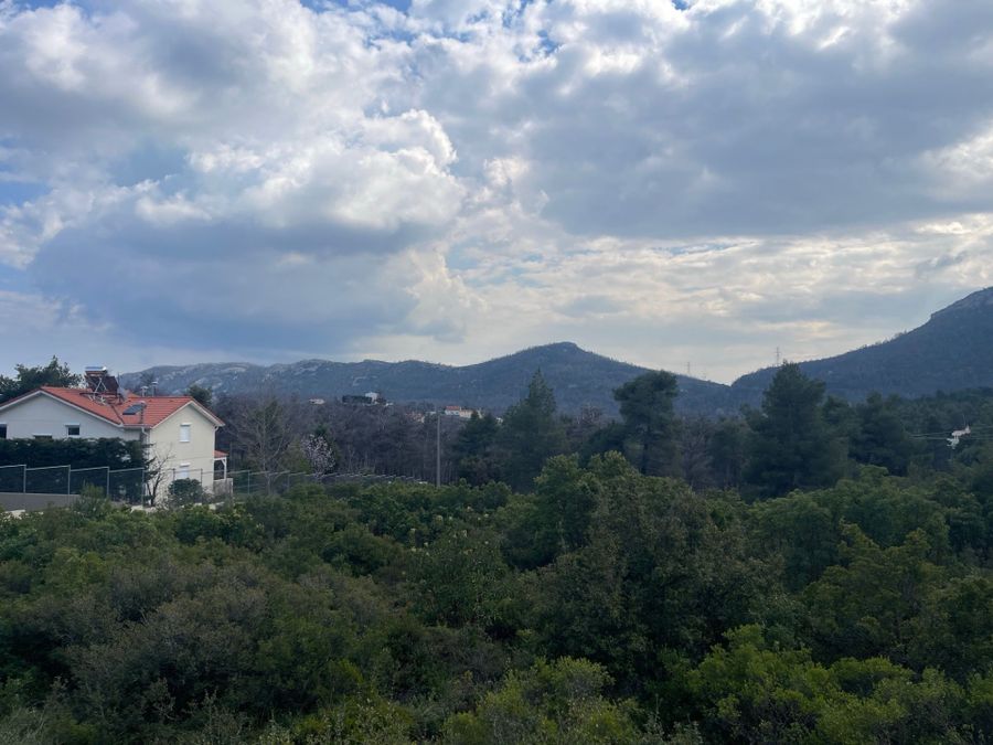 Photo 361236906
