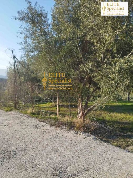 Photo 361248159