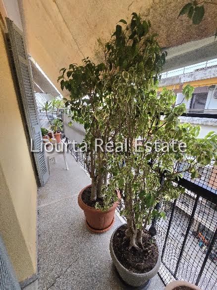 Photo 361248990