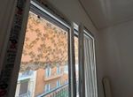 Photo 361474182