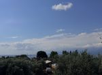 Photo 361491342