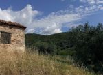 Photo 361491348