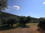Photo 361491351
