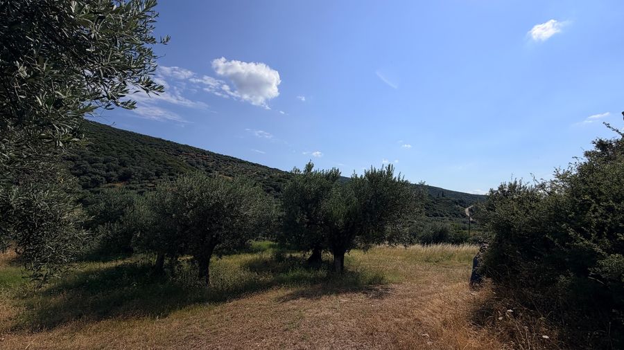 Photo 361491351
