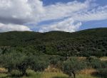 Photo 361491357