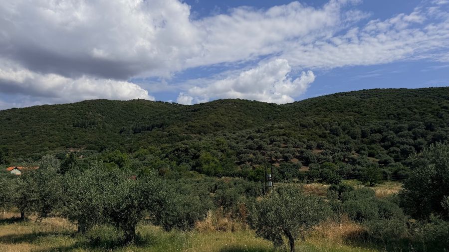 Photo 361491357