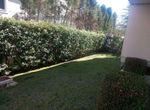 Photo 362037282