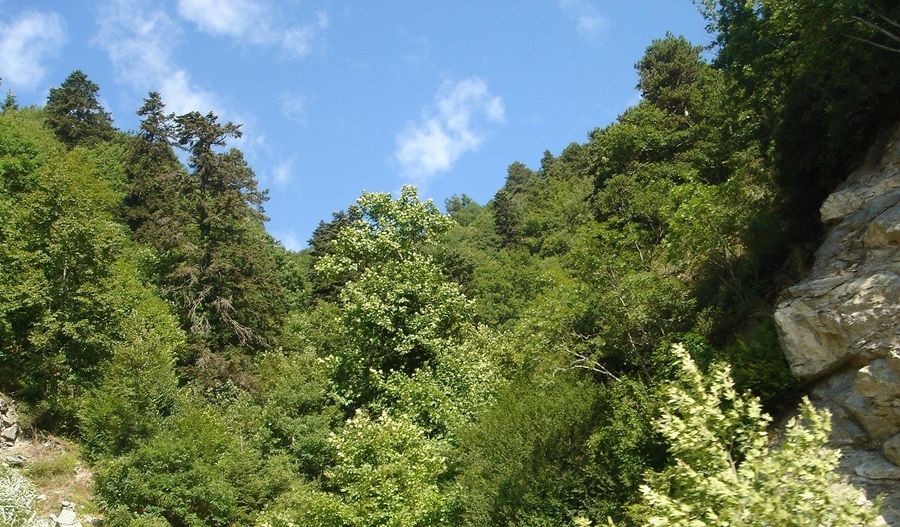 Photo 362214645