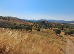 Photo 362215155