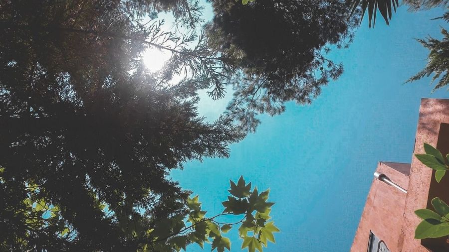 Photo 362215203