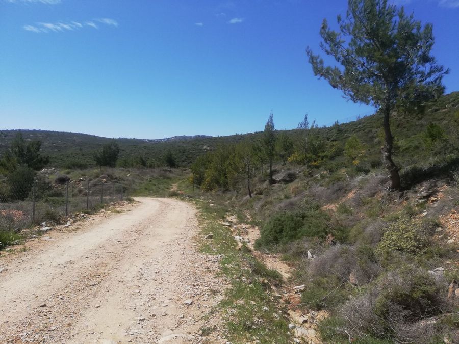 Photo 362287962
