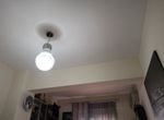 Foto 362290203