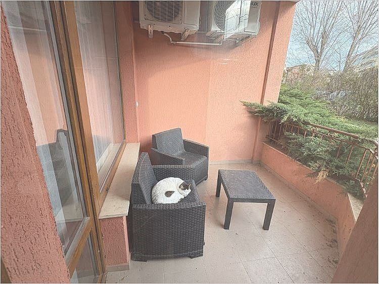 Снимка 362456352