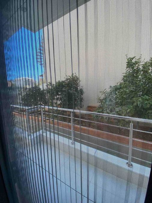 Photo 362767581