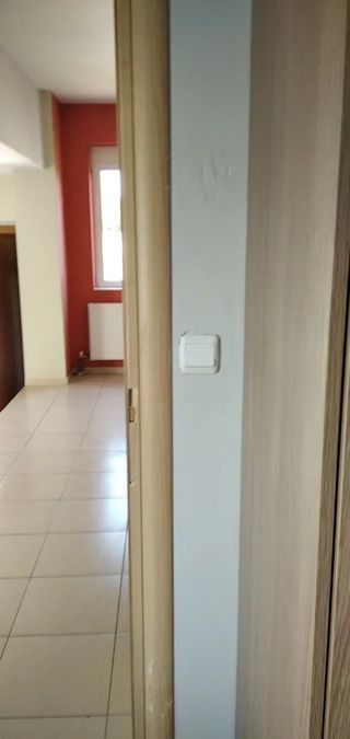 Photo 363684339