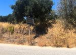 Photo 364696755