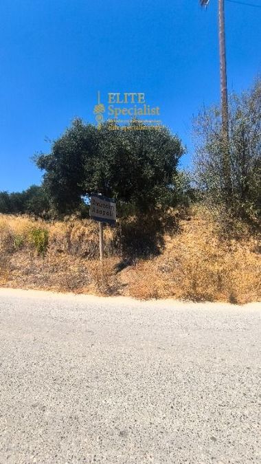 Photo 364696755