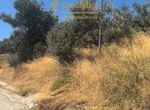 Photo 364703292
