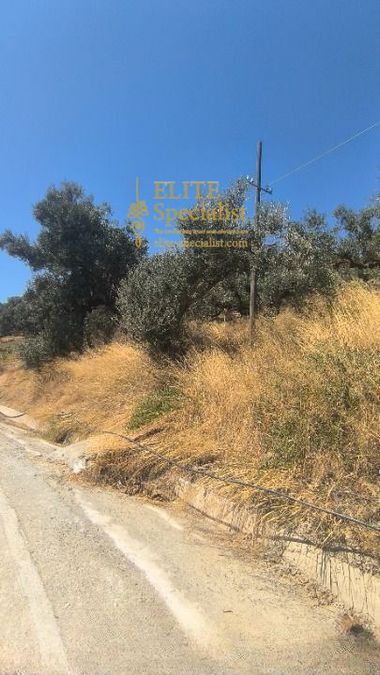 Photo 364703292
