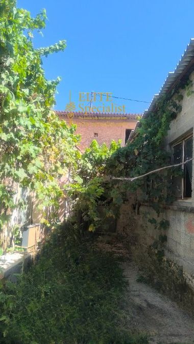 Photo 364704531