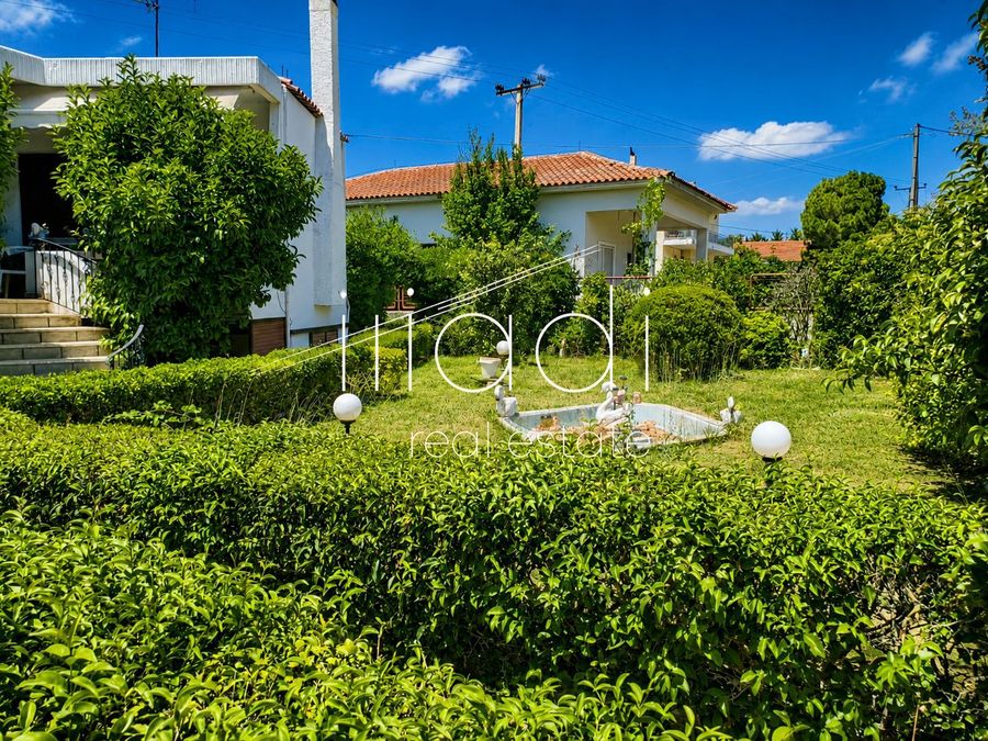 Photo 365156883