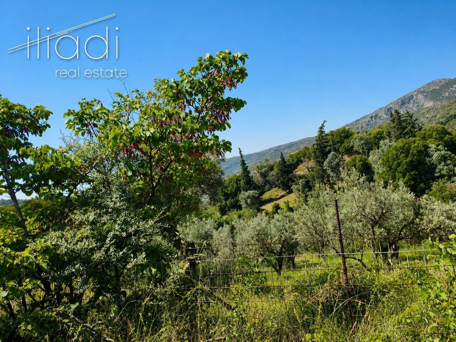 Photo 365157330