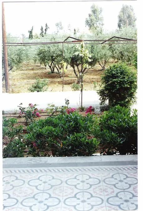 Photo 365375229