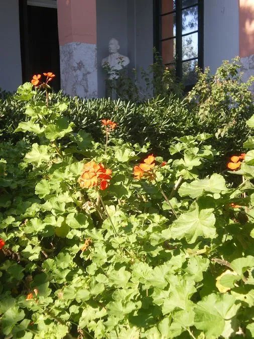 Photo 365375232