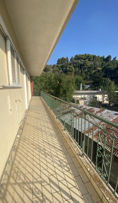 Photo 365468148