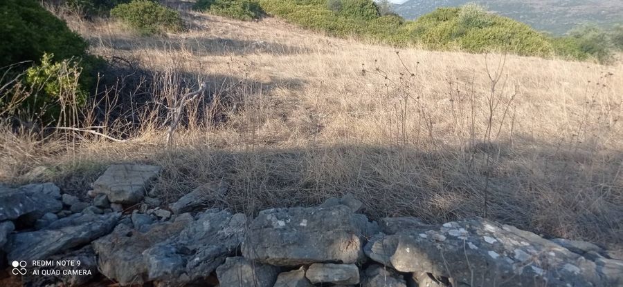 Photo 365627997