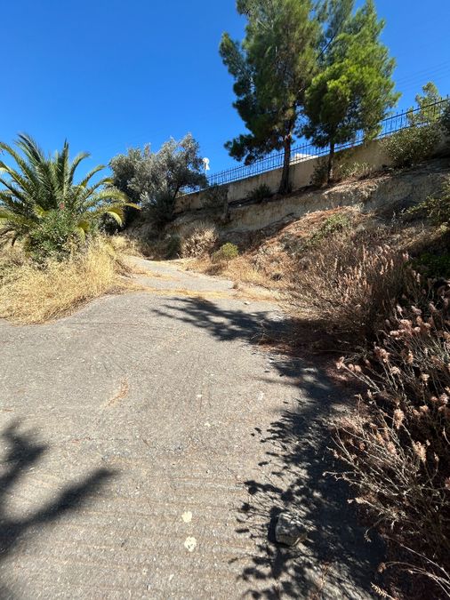 Photo 365744040