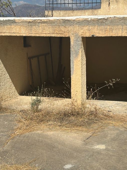 Photo 365744055