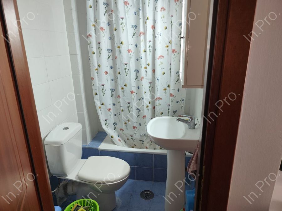 Photo 366375228