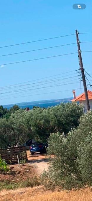 Photo 366713307