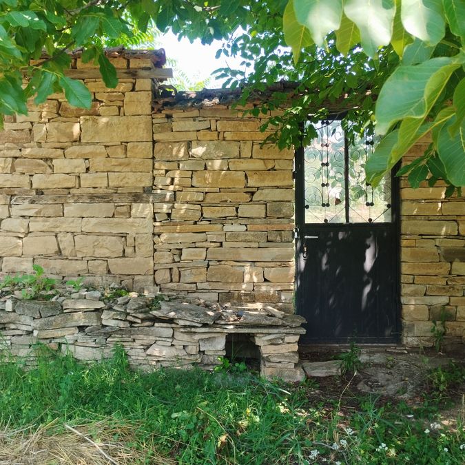 Photo 366737379