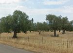 Photo 366807600