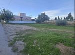 Photo 366807606