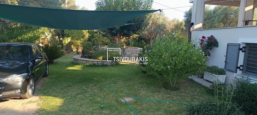 Photo 366959601
