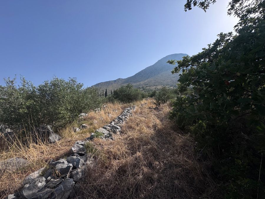 Photo 367016175