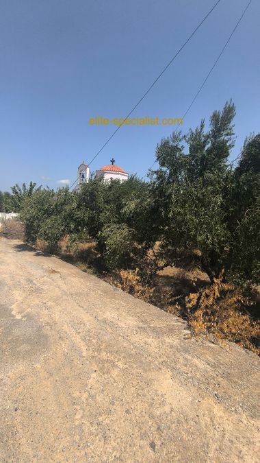 Photo 367026396