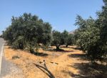 Photo 367026402